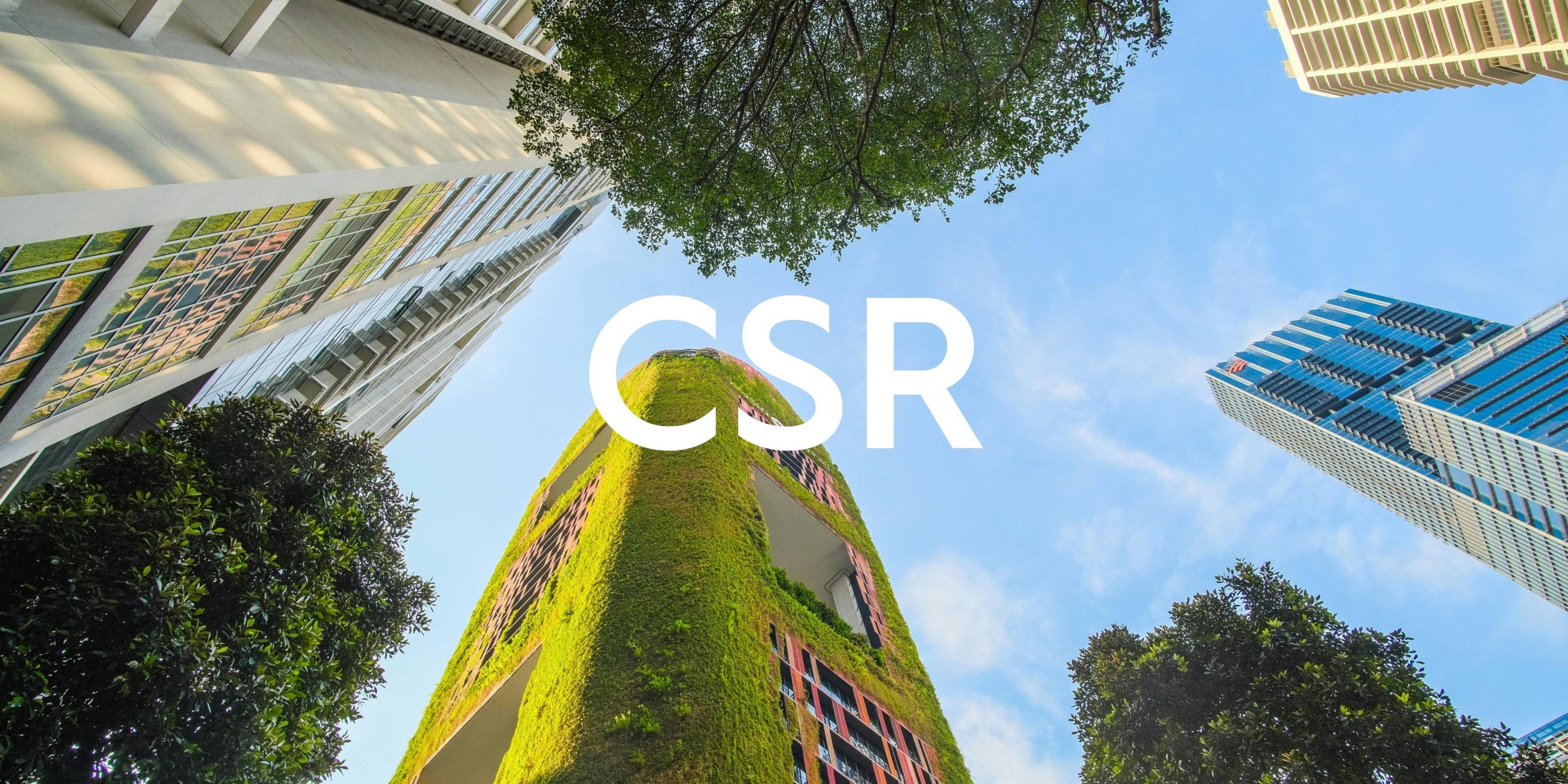 Maßgeschneiderte Nachhaltigkeit