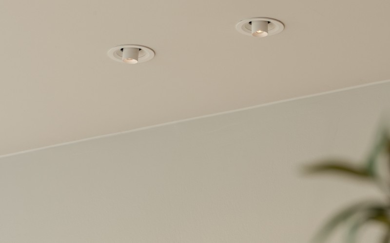 Inspiration: Pointer Spots